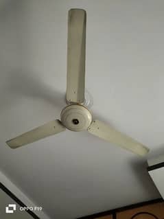 Ceiling Fan for sale