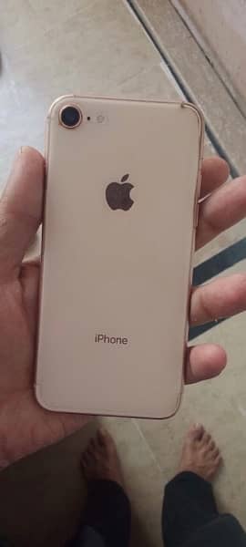 Iphone 8 Pta approved 1