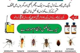 Fumigation Cockroaches Mosquito Spray/Termite Control Spray