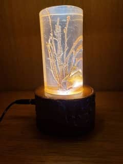 resin and exposy lamps 0