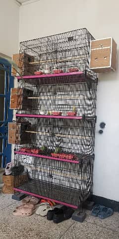 Used Bird Cage For Sale