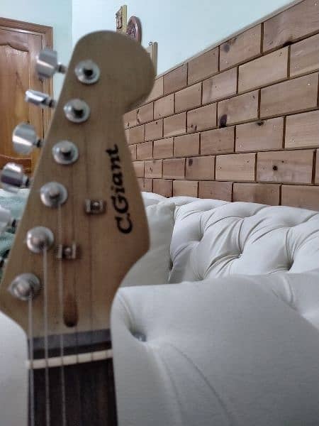 C Giant Perfect Beginner Guitar with Amplifier 2