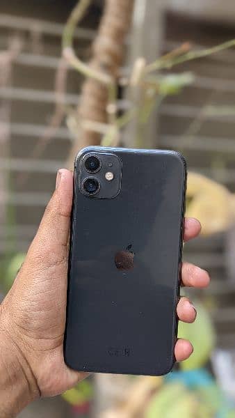 iPhone 11 pta approved 4