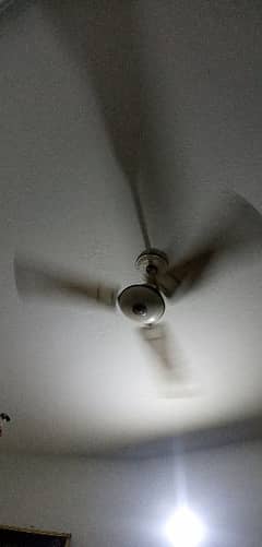 Ceiling Fan for Sale
