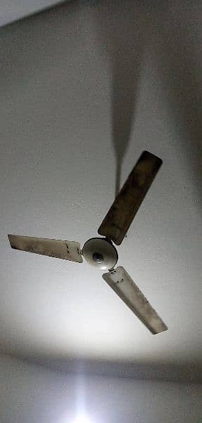 Ceiling Fan for Sale 1