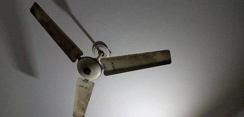 Ceiling Fan for Sale 2
