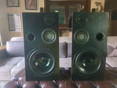 10 inch subwoofer speaker amazing bass and quality