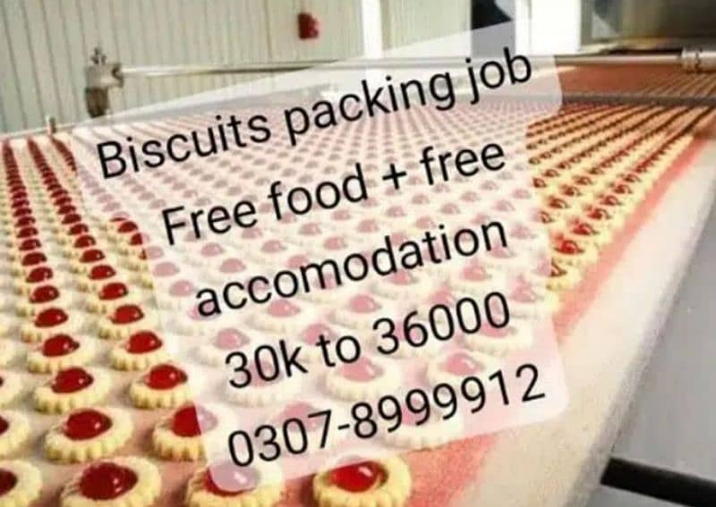 buiscuit & chocolate packing job lahore 0