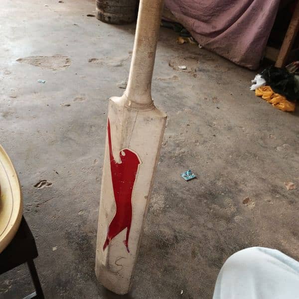 imported cricket hard bowl bat 3
