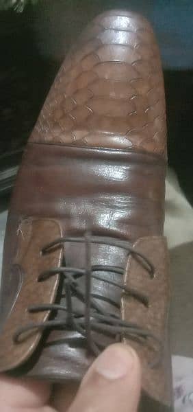 Handmade Crocodile Branded shoes 12 Number 5