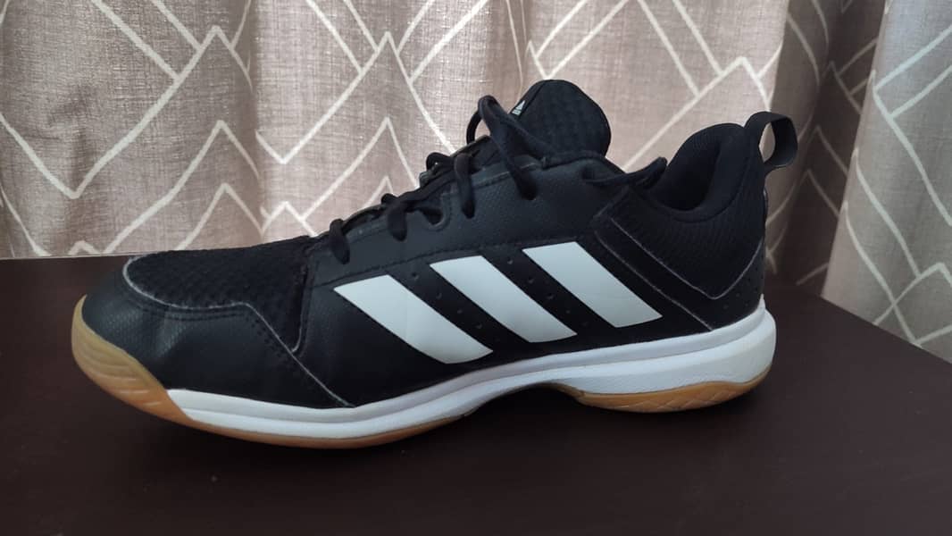 Squash shoes  /Tennis Shoes / shoes for sell 13
