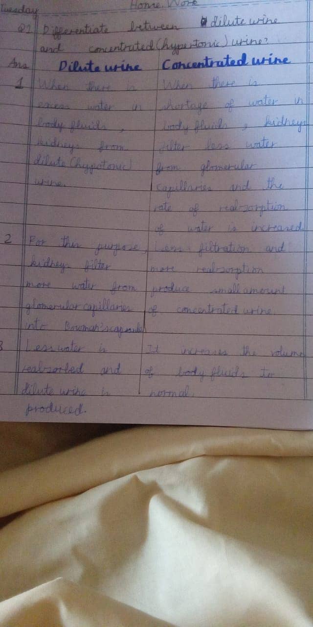 Handwritten assignment work 15