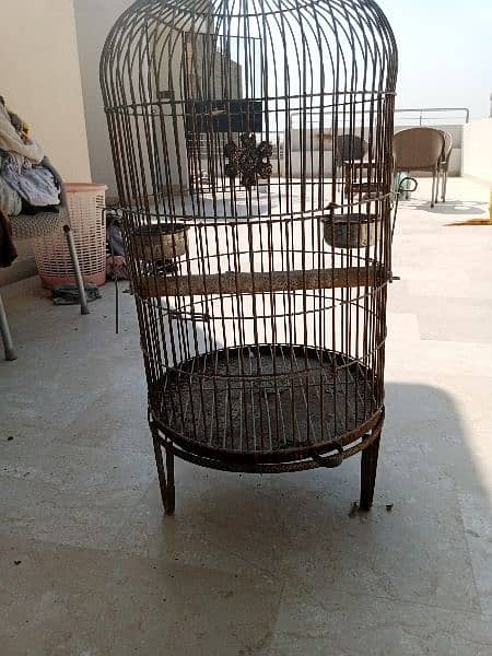 cages for sale 3