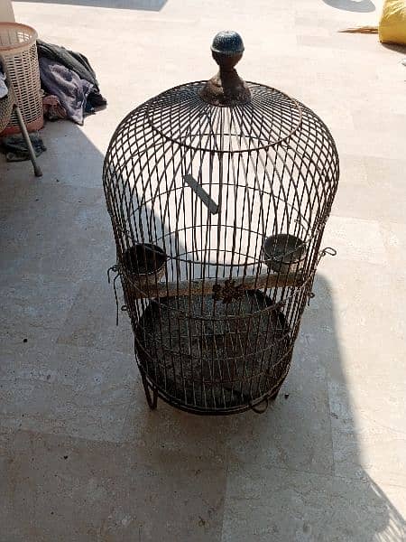 cages for sale 4