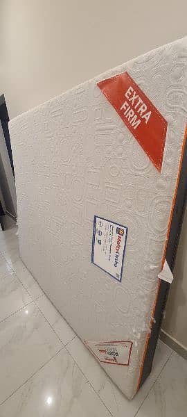 Molty Ortho Extra Firm King Size Mattress 1