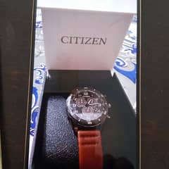 Citizen Watch 0