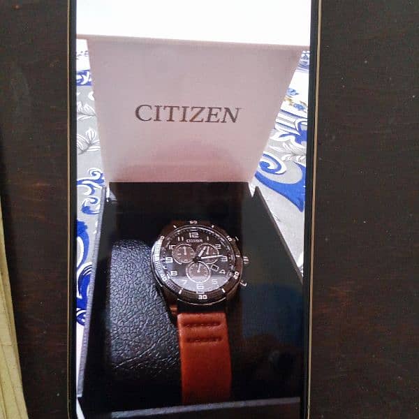 Citizen Watch 2