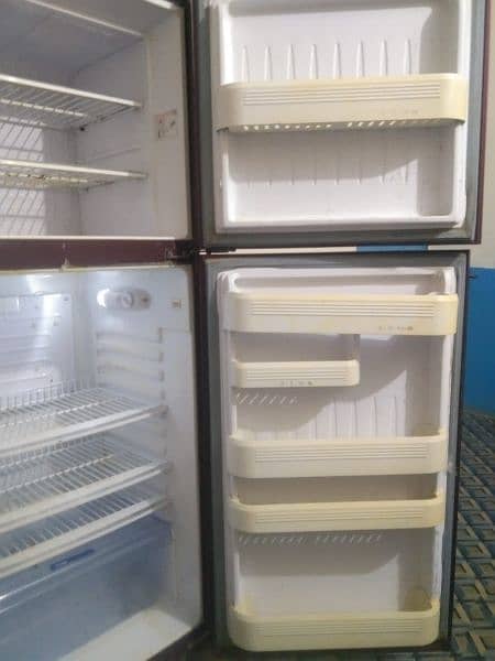 orient fridge 5