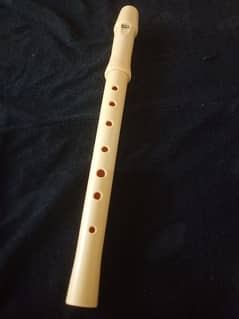 flute fibre plastic  ( Bansari  ) England