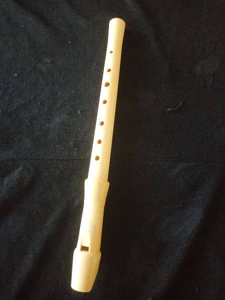 flute fibre plastic  ( Bansari  ) England 2