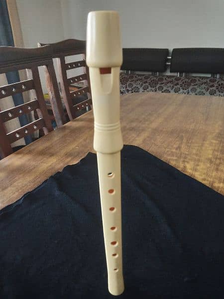 flute fibre plastic  ( Bansari  ) England 3