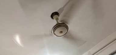 Ceiling fan 220 volt