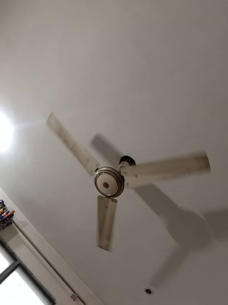Ceiling fan 220 volt 2
