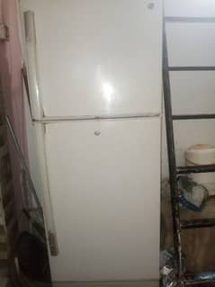 Pel fridge 0