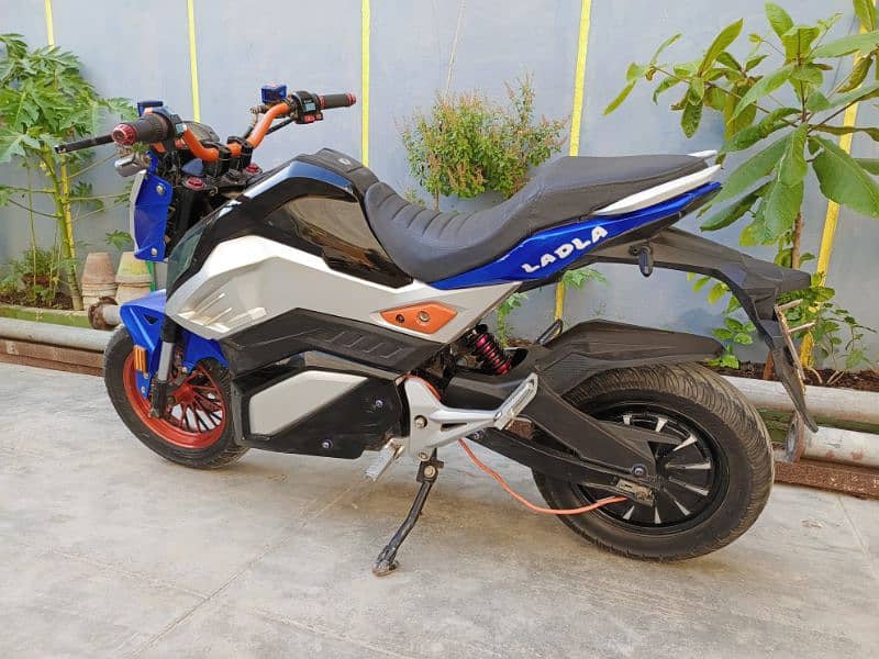 Monster Electric Heavy Bike For Sale. 8