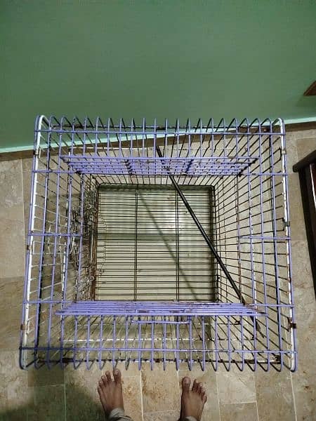 Grey parrot cage 1