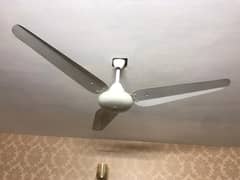 Ceiling fan (3 pcs)