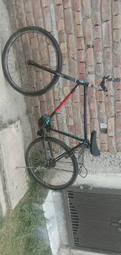 Phonix Bicycle