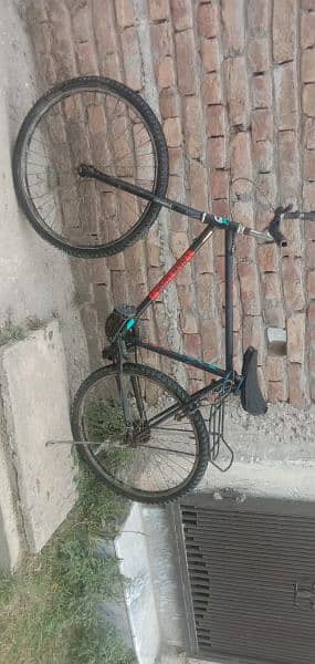 Phonix Bicycle 2