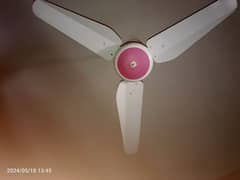 used fans but in new condition 0