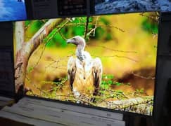 magnificent offer 43 ,,inch Samsung Smrt UHD LED TV 03044319412