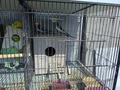 2 beautiful cage along with breeding birds for sales 0