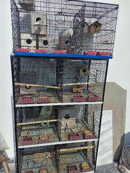 2 beautiful cage along with breeding birds for sales 5