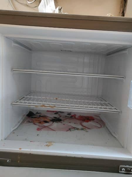 pel Refrigerator 7