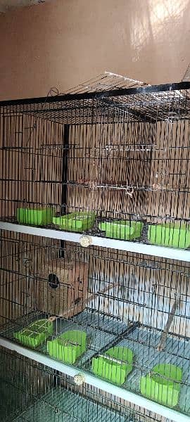 birds cage in good condition 3
