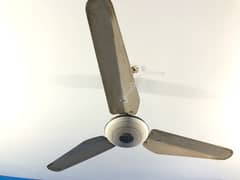 Ceiling Fan For sale (100% working condition )