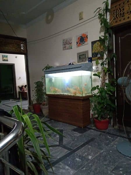 5 feet complete aquarium with 4 fishes 3