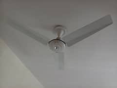 Climax ceiling Fans