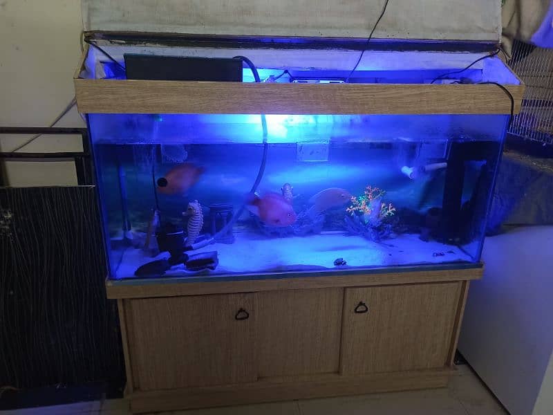 4ft Aquarium with top and stand fishes and accessories included 1