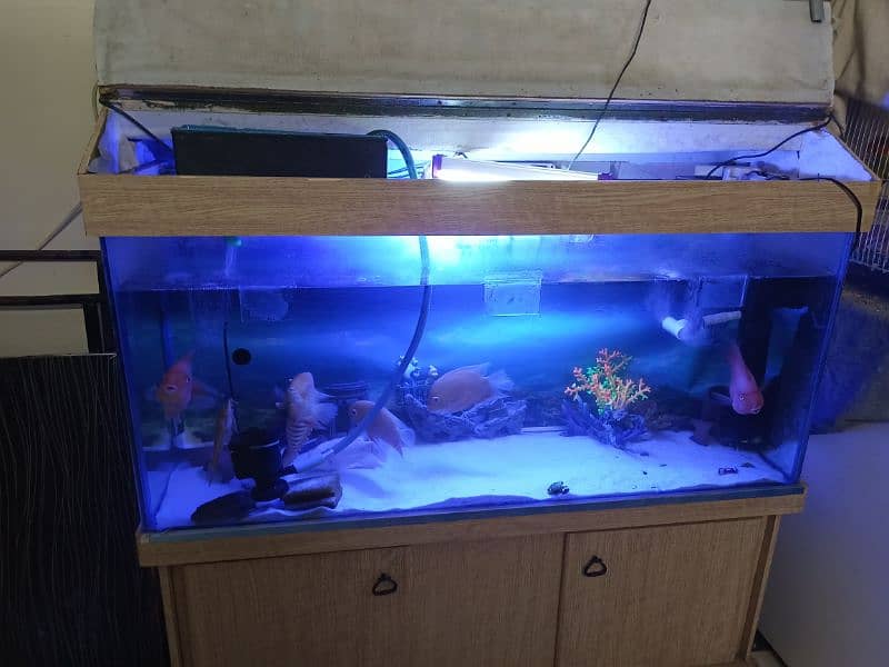4ft Aquarium with top and stand fishes and accessories included 2
