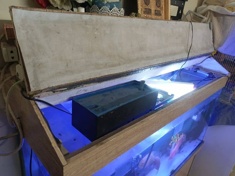 4ft Aquarium with top and stand fishes and accessories included 5