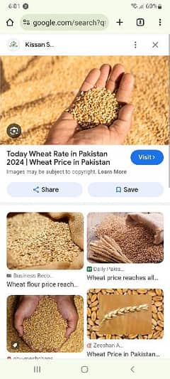 gandam wheat for sale