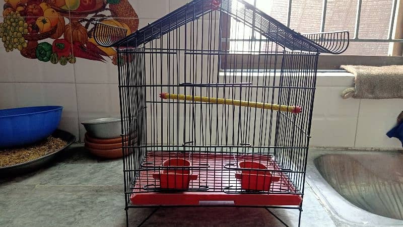 baby /cage /for/ sale +92 309 4059529 1