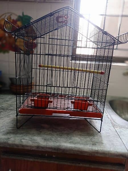 baby /cage /for/ sale +92 309 4059529 2