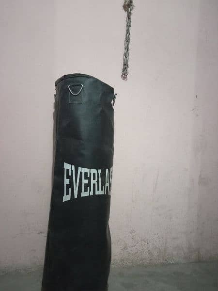 Punching bag with boxing gloves 1