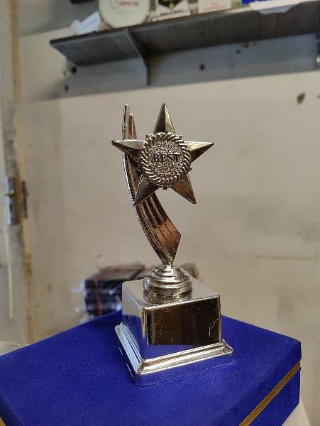 Awards Shields/ Glass trophies 10
